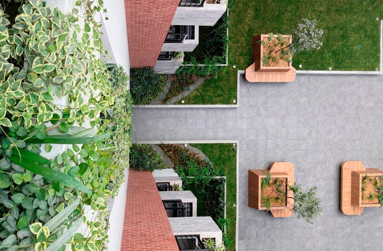 Reverdece - Proyecto Tomasal - Foto protegida por leyes de copyright