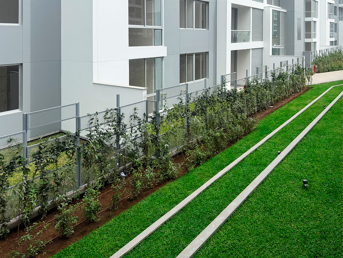 Reverdece-Proyecto Home Town